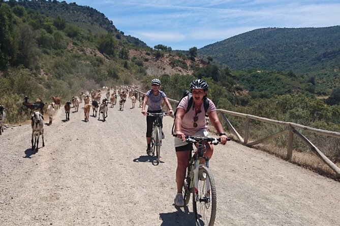 Cycling - Via Verde de la Sierra - 36km - Easy Level - Bikes, Helmets, Safety Gear, and Small-Group Attention