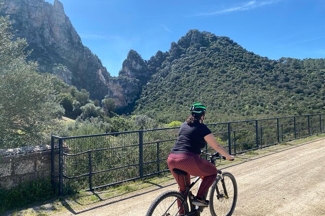 Cycling - Via Verde de la Sierra - Easy Difficulty - Ronda - The Best Stops: Vultures, Old Stations, and a Cafe Moment