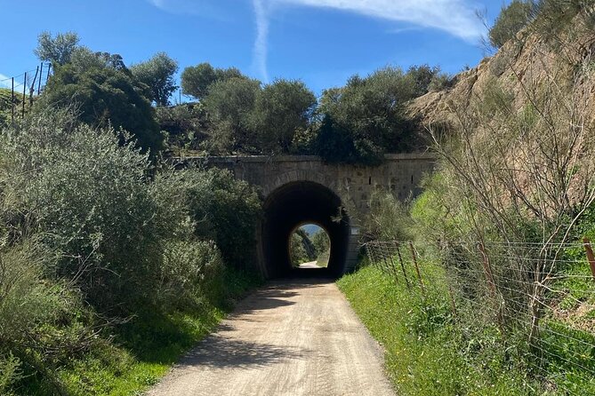 Cycling - Via Verde de la Sierra - Easy Difficulty - Ronda - Who Should Book This Via Verde de la Sierra Ride