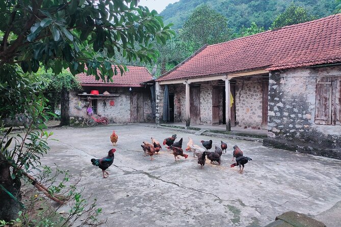 Discover Trang An Natural World Heritage, Bich Dong Pagoda, Cycling Day Tour - The Day’s Pace, Group Size, and What to Know Before You Go