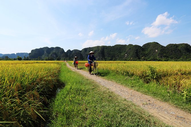 Discover Trang An Natural World Heritage, Bich Dong Pagoda, Cycling Day Tour - Price and Value: What $79 Really Buys You