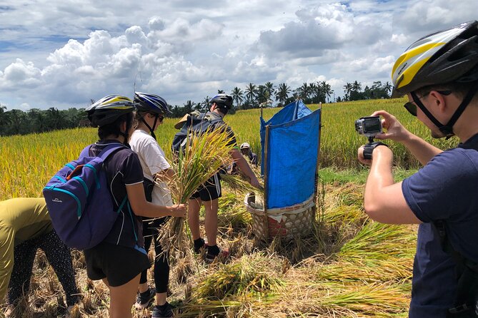 Downhill Cycling Ubud with Volcano, Rice Terrace and Educational - Coffee tasting: the morning break with a view