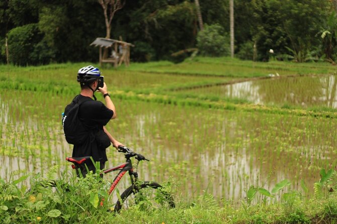 Downhill Cycling Ubud with Volcano, Rice Terrace and Educational - How the biking and equipment actually feel