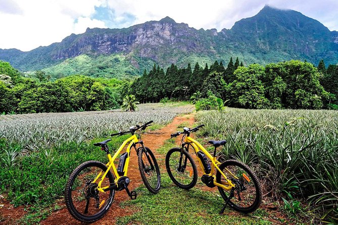 E-Bike Moorea Electric Bike Rental Moorea - Key Highlights You’ll Feel Day-Of