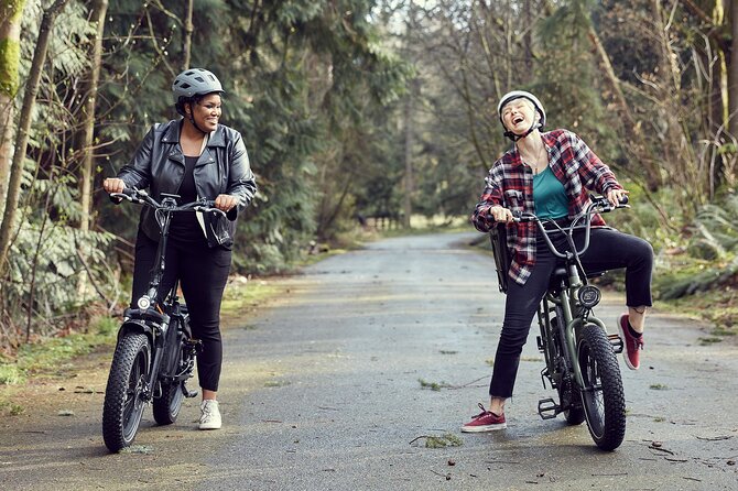 E-bike Rental - 3 hour along the shoreline Bike Path - Getting the e-bike to match you (and why it matters)