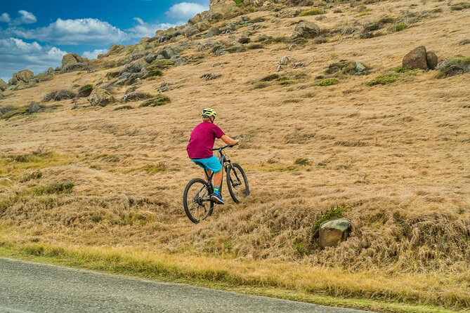 E-Bike Rental from Cruise Ship Terminal - Why This E-Bike Rental Works So Well on Cruise Day
