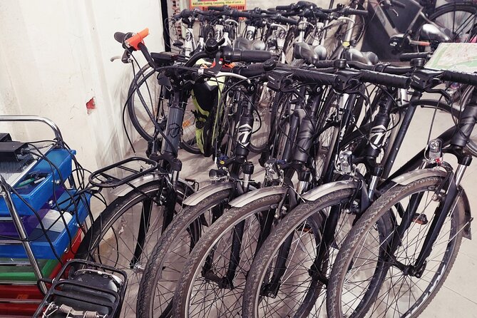 E-Bike Rental in Lucca - Lucca walls without the grind: how the electric assist changes the day