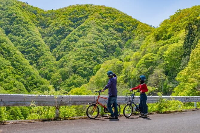 E-bike Rental in Okutama, Tokyo - The Bikes and Skill Levels: Choosing Your Fit (and Your Height)