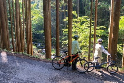 E-bike Rental in Okutama, Tokyo - Picking Your Route: Okutama-ko Loops and Limestone Cave Ideas