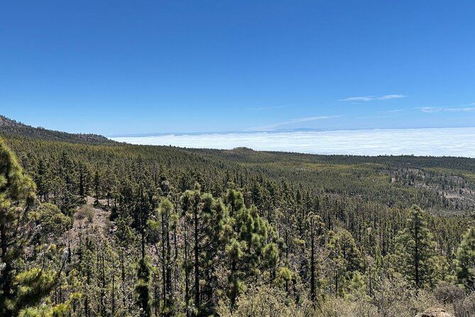 E-bike Ride at Chinyero Natural Reserve - on premium bikes - What It’s Like to Ride This Route (Even If You’re Not a Racer)
