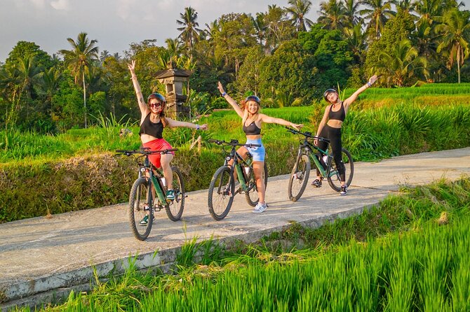 eBike Ubud Rice Terraces and Traditional Villages Cycling - Key Highlights You’ll Actually Care About