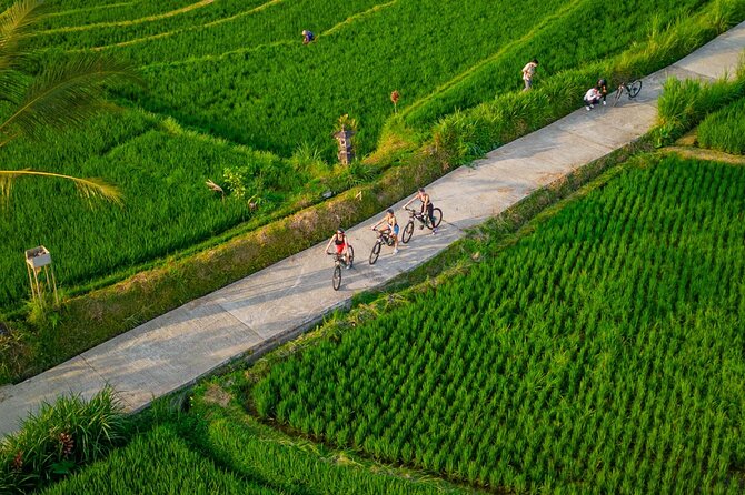 eBike Ubud Rice Terraces and Traditional Villages Cycling - Rice Terraces and Subak Water Paths: Why This Ride Feels Different