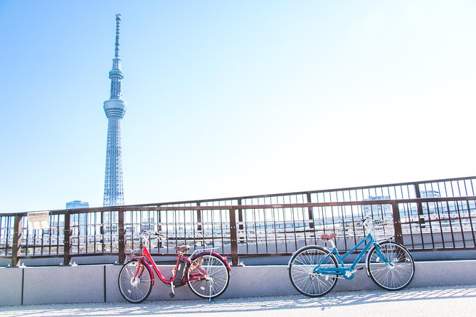 [electric bicycle tour]: 6-hour travel course by electric bicycle Asakusa, Ueno Park, Edo-Tokyo Museum, and Sky Tree. (There is a support car.) - Tokyo on Two Wheels: What This E-Bike Day Really Covers