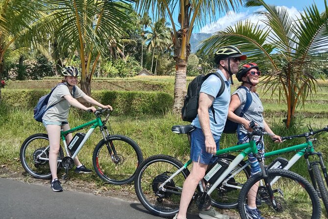Electric bicycle tour in Jatiluwih UNESCO site - Key points I’d plan around
