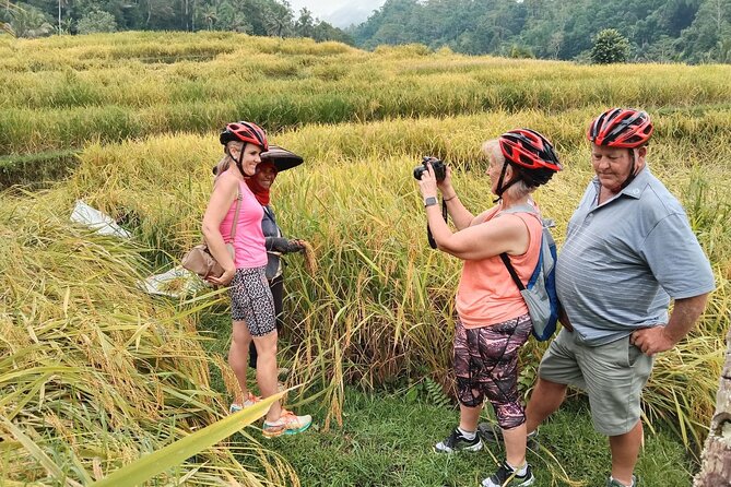 Electric bicycle tour in Jatiluwih UNESCO site - Starting at Batukaru Temple: the quiet roads to Jatiluwih
