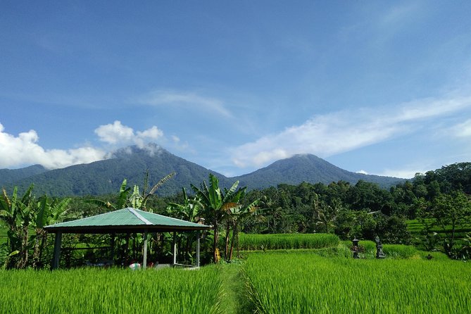 Electric bicycle tour in Jatiluwih UNESCO site - Temples, villages, and farming life: culture without the bus crowd