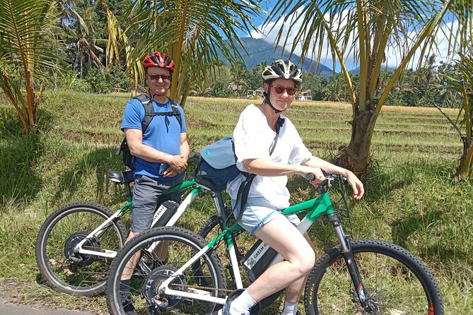 Electric bicycle tour in Jatiluwih UNESCO site - Price and value: is $75 a fair deal for 5 hours?