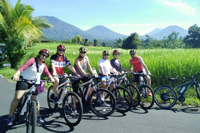 Electric bicycle tour in Jatiluwih UNESCO site - E-Bike setup and the assist: how easy it really is