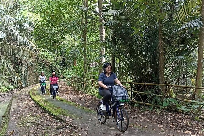 Electric bicycle tour in quaint South Ubud - Key things to know before you ride