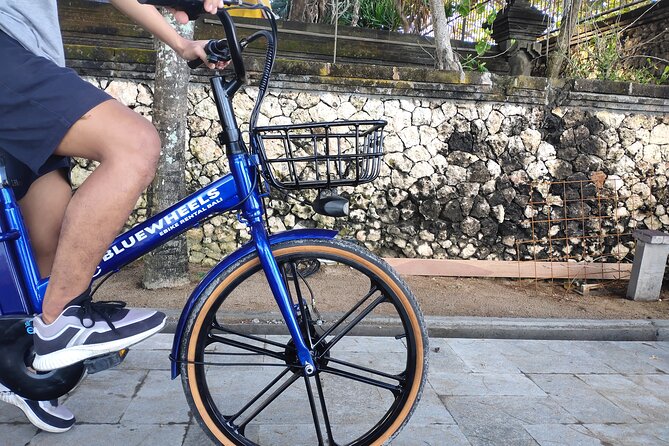Electric bicycle tour in quaint South Ubud - Electric-assisted cycling in South Ubud for $49: is it good value?
