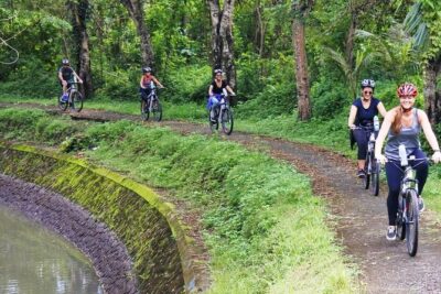 Electric bicycle tour in quaint South Ubud - Riding out of Ubud toward Mambal: rice and farmer roads