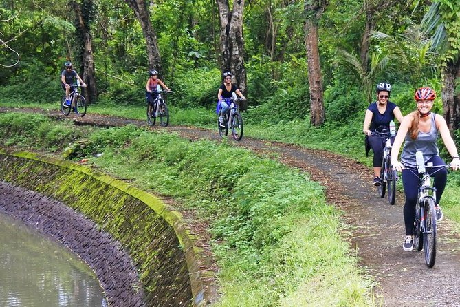 Electric bicycle tour in quaint South Ubud - Riding out of Ubud toward Mambal: rice and farmer roads