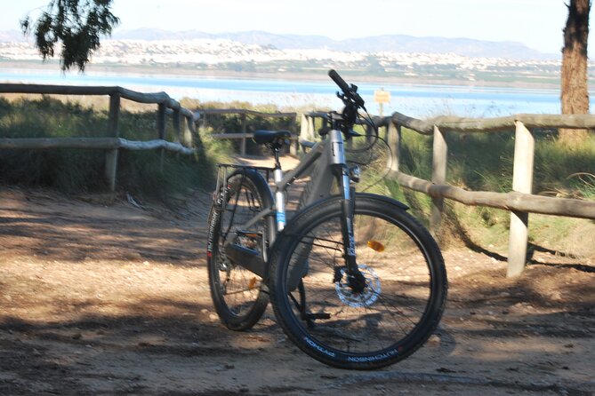 Electric Bicycle Tour through the Natural Parks of Torrevieja - Playa de La Mata: dunes, a wooden walkway, and a terrace reset