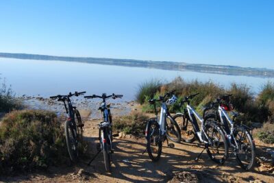 Electric Bicycle Tour through the Natural Parks of Torrevieja - Las Salinas de Torrevieja: salt mountains, Laguna Rosa, and real industrial scenery
