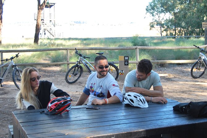Electric Bicycle Tour through the Natural Parks of Torrevieja - Electric bike details: how the assist makes hills feel manageable