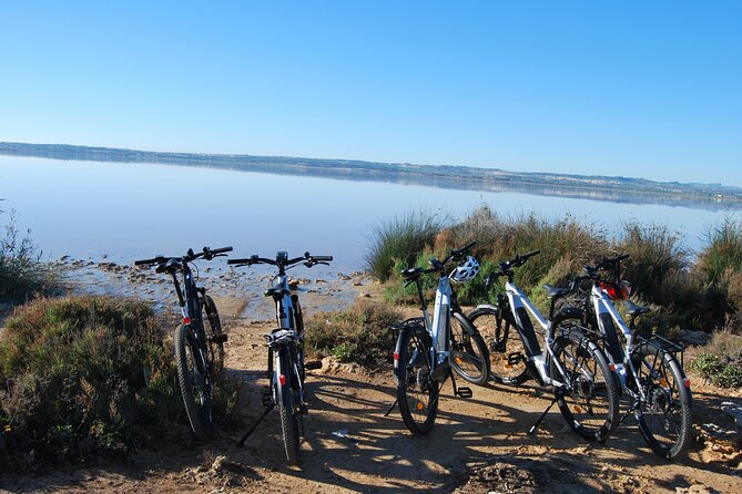 Electric Bicycle Tour through the Natural Parks of Torrevieja - Las Salinas de Torrevieja: salt mountains, Laguna Rosa, and real industrial scenery