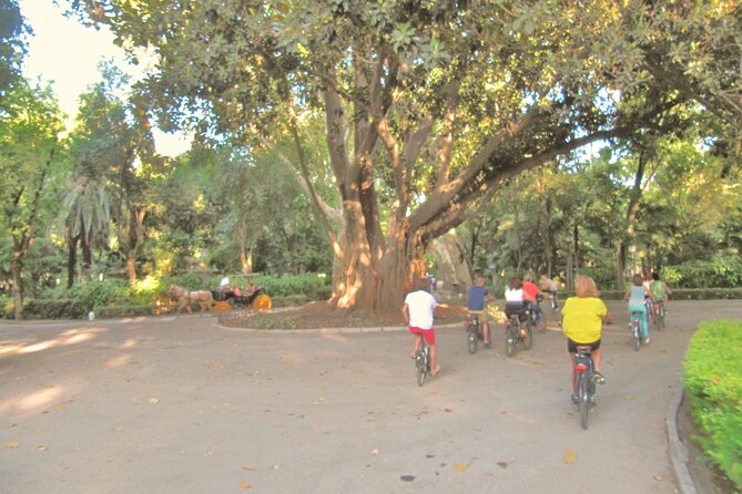 Electric Bike Rental 3 hours - Your 3-hour window in Seville: how to plan without a guide