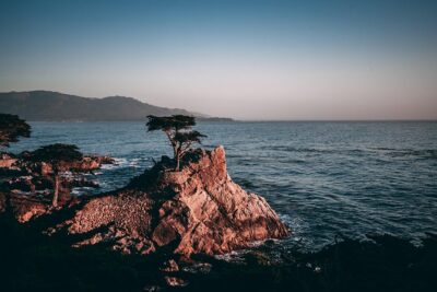 Electric Bike Rental for 17-mile Dr. Start on Cannery Row 4 hours - Electric Bikes and the 17-Mile Drive: Why This Combo Works