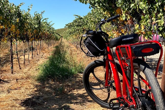 Electric Bike Rental in Livermore - Your Map and Route Tips: How the Day Shapes Up
