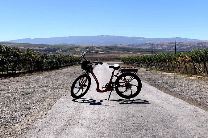 Electric Bike Rental in Livermore - Vineyard Riding with Electric Assist: What You’re Really Buying
