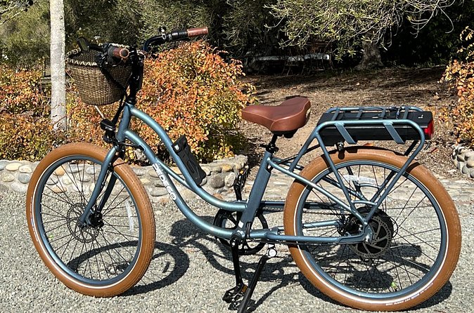 Electric Bike Rental in Livermore - Price and Value: Is $55 Worth It?