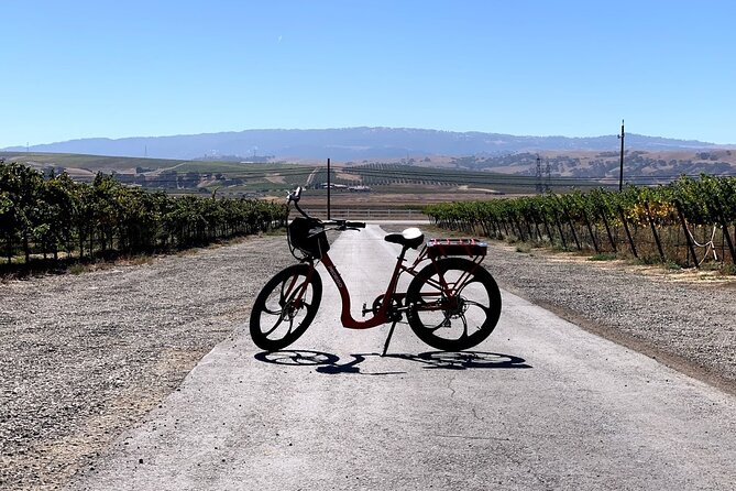 Electric Bike Rental in Livermore - Who Should Book This E-Bike Rental?