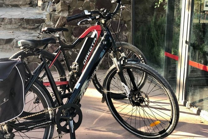 Electric Bike Rental in Malaga - The Gibralfaro Forest Climb That Sets Up Your Whole Day