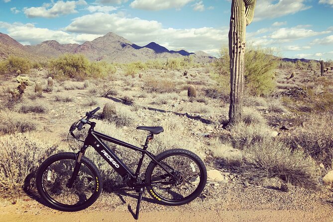 Electric Bike Rental in North Scottsdale Arizona - Getting set up at Pedego Electric Bikes McDowell Mountain: the part you should care about