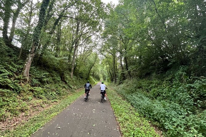 Electric bike rental in Paris - How the Route Works: Versailles and Countryside Days Without the Guesswork