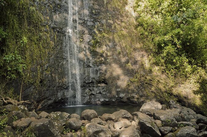 Electric Bike Ride & Manoa Falls Hike Tour - Key Highlights You’ll Feel From the Start