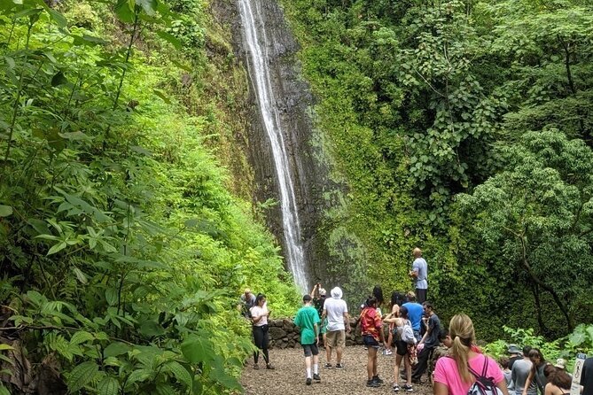 Electric Bike Ride & Manoa Falls Hike Tour - Price and Value: Is $199 Worth It?