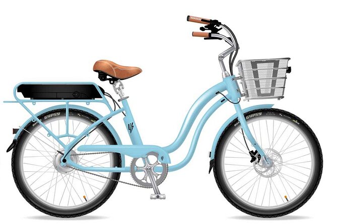 Electric Bike Ride on the Olympic Discovery Trail - Customer Service That Actually Helps: Brandon’s Role in the Ride