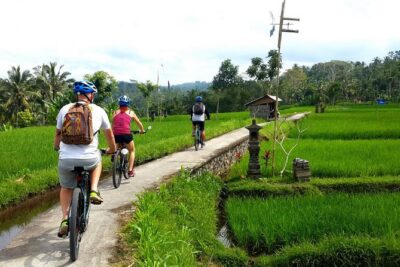 Electric Cycling Tour of Ubud with Free Hotel Transfer and Lunch - Hotel Pickup and the Start Routine That Sets You Up