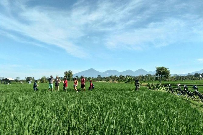 Electric Cycling Tour of Ubud with Free Hotel Transfer and Lunch - Tegalalang Rice Terrace: UNESCO Views, But With a Time Limit