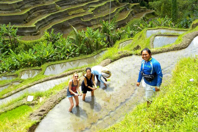 Electric Cycling Tour of Ubud with Free Hotel Transfer and Lunch - Jungle Swing and Coffee Plantation: The Photo Stop With a Purpose