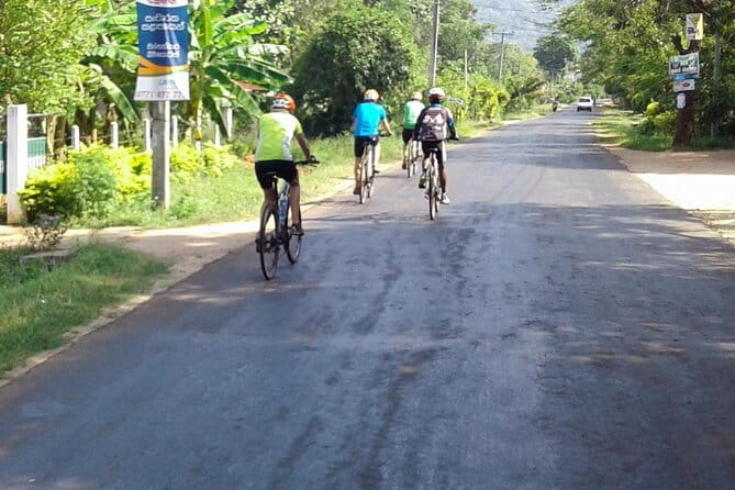 Ella Cycling Experience in Ella - Price and Value: How $50 Stacks Up for a 20km Private Tour