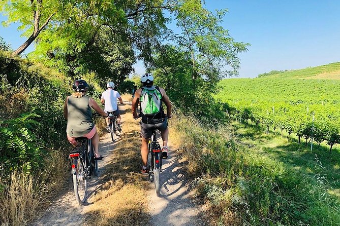 Enjoy a Wine Tasting after a cycling excursion in the magic of Tuscany - Key things you’ll notice right away