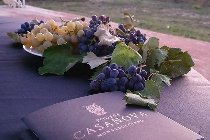 Enjoy a Wine Tasting after a cycling excursion in the magic of Tuscany - The winery visit at Cantina Podere Casanova: what you actually gain