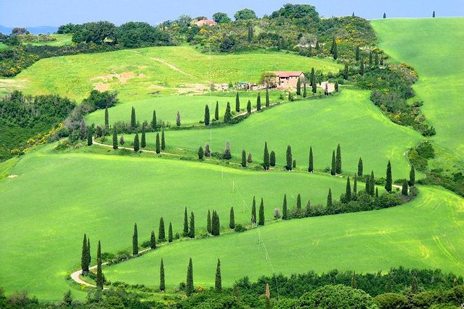 Enjoy a Wine Tasting after a cycling excursion in the magic of Tuscany - Lunch at the winery: Tuscan menu, real comfort food