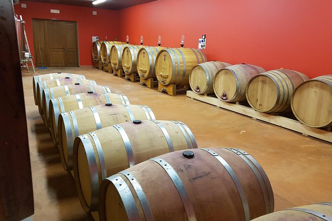 Enjoy a Wine Tasting after a cycling excursion in the magic of Tuscany - Price and value: what $164.50 gets you in real terms